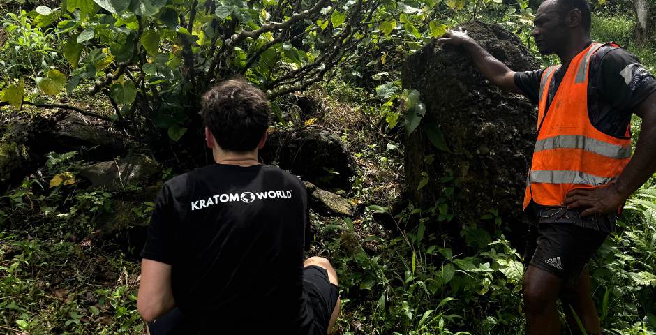 Drumul spre ferma Kava Kava: Raport de pe Fiji de la Kratom World
