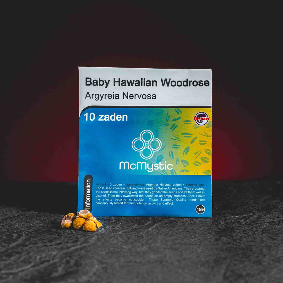 Semințe de trandafir hawaian, roze hawaian baby, kratom world