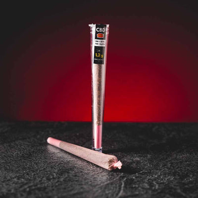 Preroll CBD 22, varianta 2, prezentat ca joint gata rulat