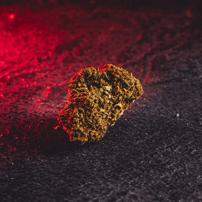 Detaliu al florilor CBD Fruity Cheese de la Kratom World