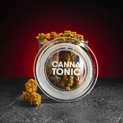 Flori Cannatonic cu CBD de la Kratom World, prezentate în ambalajul original