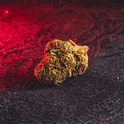 Detaliu al florilor Cannatonic cu CBD