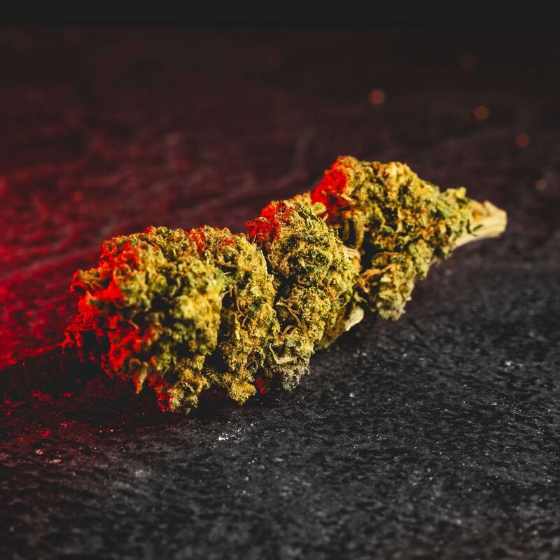 Floare Cantonic H4CBD de la Kratom World, prezentată în prim-plan