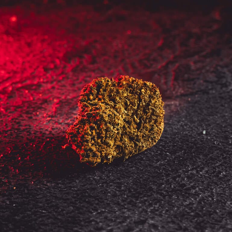 Detaliu al florilor Chocolate Trees cu CBD de la Kratom World