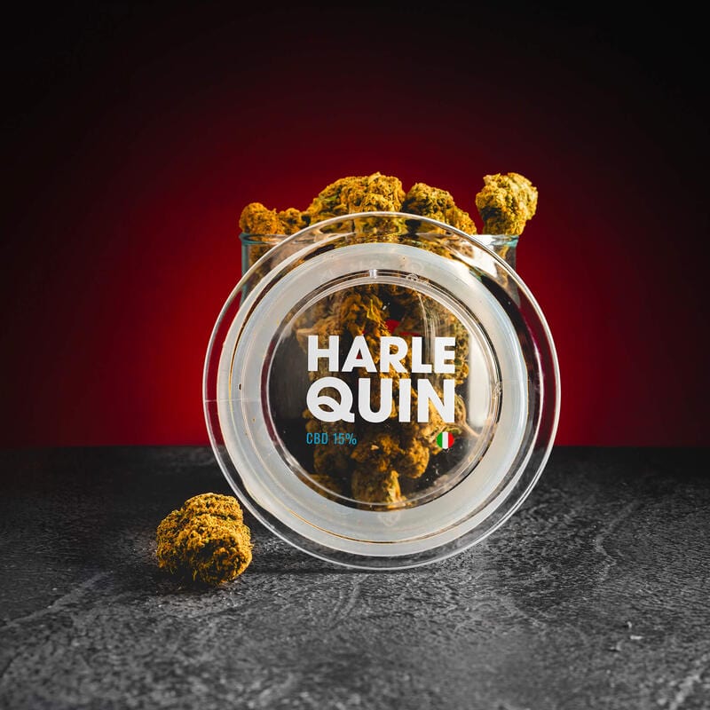 Flori de canabis Harlequin cu CBD de la Kratom World
