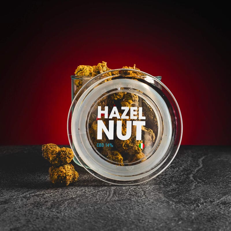 Flori Hazelnut cu CBD de la Kratom World, prezentate în ambalajul original