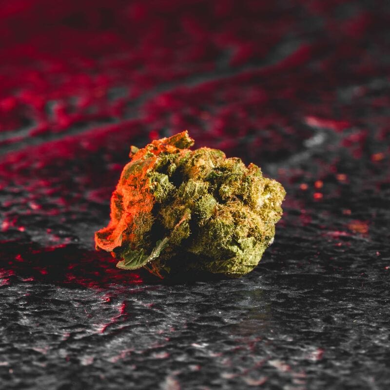 Flori Small Bud cu CBD de la Kratom World, prezentate în ambalajul original