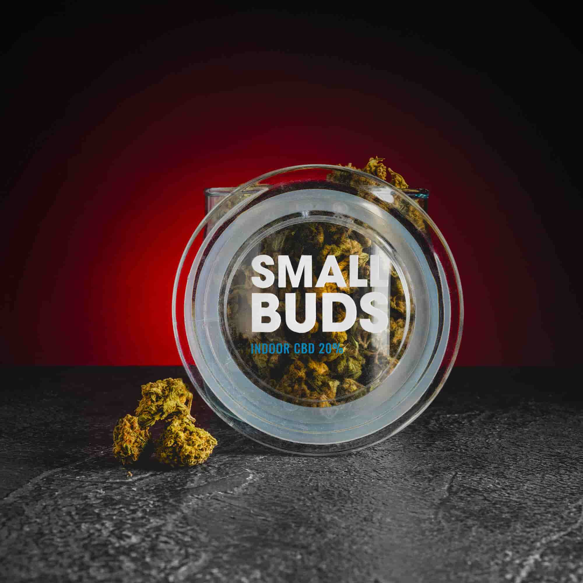 Flori Small Bud cu CBD de la Kratom World, cu aspect compact și calitate ridicată