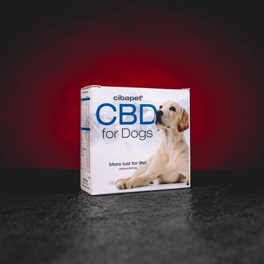 Pastile CBD pentru câini Kratom World, supliment natural pentru animale de companie fără terpene