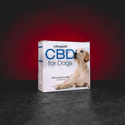 Pastile CBD pentru câini Kratom World, supliment natural pentru animale de companie fără terpene
